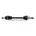 Poloosa -ALL BALLS- Yamaha YFM 550 2009-2014, YFM 700 2007-2013, 2016