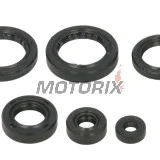 Sada gufer motoru -WINDEROSA- Honda TRX 400 2004-2007