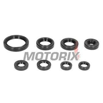 Sada gufer motoru -WINDEROSA- Yamaha WR 450 2003-2015, Yamaha YZ 450 2003-2013