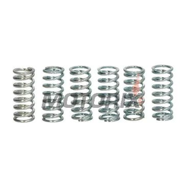 Sada pružin spojky -TRW- MEF101-6, Kawasaki KDX175, KE125, KH125/250, KLF300 Bayou, KLX300R, KX125 (1976-2010)/Suzuki GN250, GSX250, GT50, JR50/80, RM80/125, TS50, ZR50K (1977-2007)/Yamaha DT50/80/125, FS1 50, RD80MX, RX80SE, SR250SE, XS250,