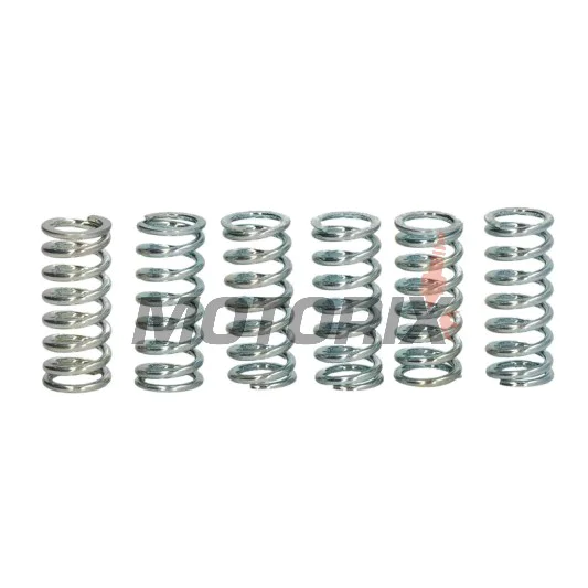 Sada pružin spojky -TRW- MEF101-6, Kawasaki KDX175, KE125, KH125/250, KLF300 Bayou, KLX300R, KX125 (1976-2010)/Suzuki GN250, GSX250, GT50, JR50/80, RM80/125, TS50, ZR50K (1977-2007)/Yamaha DT50/80/125, FS1 50, RD80MX, RX80SE, SR250SE, XS250