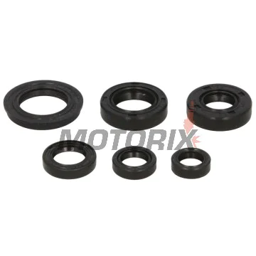 Sada gufer motoru -WINDEROSA- Honda XR 250 1996-2004