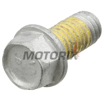 Šrouby brzdového kotouče -TRW- MSS124-6, M6x1.00mm, 13mm, 6ks