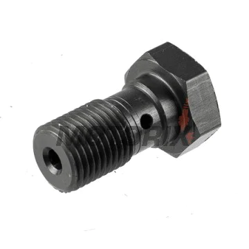 Banjo šroub -TRW- M10x1.00 (Brembo), titan