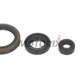 Sada gufer motoru -WINDEROSA- Suzuki LT 160 1989-2001, 2003-2004, Suzuki LT-F 160 1991-2001