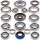 Opravná sada diferenciálu -ALL BALLS- Polaris Ranger 1000 2015-2017, Ranger 325 2015-2016, Ranger 900 2014-2017, RZR 570 2012-2017, RZR 900 2011-2015, Sportsman 325/570 2015