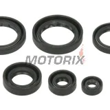 Sada gufer motoru -WINDEROSA- Honda TRX 400 2004-2007