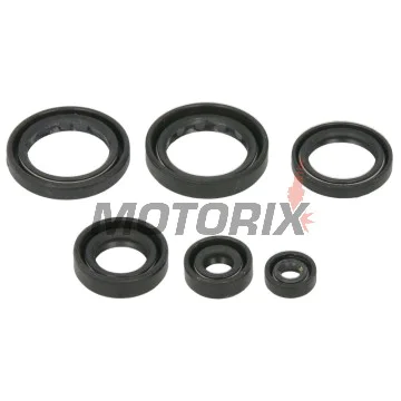 Sada gufer motoru -WINDEROSA- Honda TRX 400 2004-2007