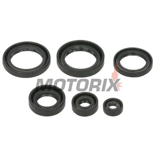 Sada gufer motoru -WINDEROSA- Honda TRX 400 2004-2007