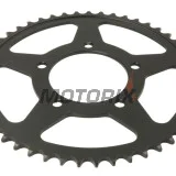 Zadní rozeta -JT- JTR823,49, 49 zubů, ocelový, Suzuki GS 500 1988-2010, GSF 250 1990-2000, GSX 250 1991-1993, GW 250 2012-2017, SFV 650 2009-2015, SV 650 2016-2019