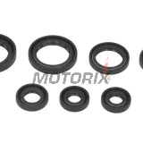 Sada gufer motoru -WINDEROSA- Honda TRX 350 2000-2006