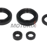 Sada gufer motoru -WINDEROSA- Suzuki LT-F 400 2002-2012