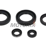 Sada gufer motoru -WINDEROSA- Kawasaki KVF 300 1999-2002