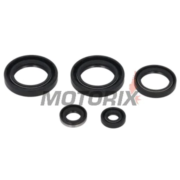 Sada gufer motoru -WINDEROSA- Kawasaki KVF 300 1999-2002