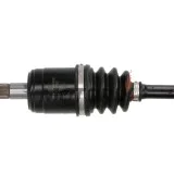Poloosa -ALL BALLS- Honda TRX 650 2003-2004