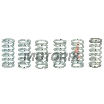 Sada pružin spojky -TRW- MEF106-6, Honda CBR400RR, CRF150F/150R, NSR125R, VFR400, XRV750 Africa Twin (1985-2012); Kawasaki KX125/250, ZXR400L (1987-1999); Suzuki DR400S, GN400, GS/GSX Katana, GT250/380/750, RF400, RGV250 Gamma, RM250, TS250ER (19
