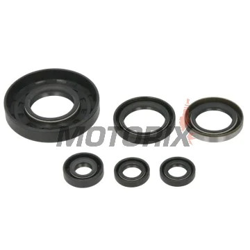 Sada gufer motoru -WINDEROSA- Polaris Xpedition 425 2000-2002