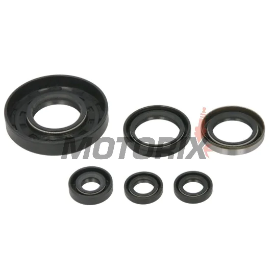 Sada gufer motoru -WINDEROSA- Polaris Xpedition 425 2000-2002