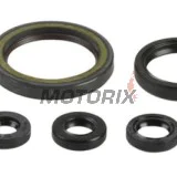 Sada gufer motoru -ATHENA- Honda CRE 450 2009-2013, CRF 450 2009-2016, CRM 450 2009-2010