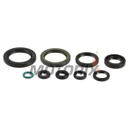 Sada gufer motoru -ATHENA- Honda CRE 450 2009-2013, CRF 450 2009-2016, CRM 450 2009-2010