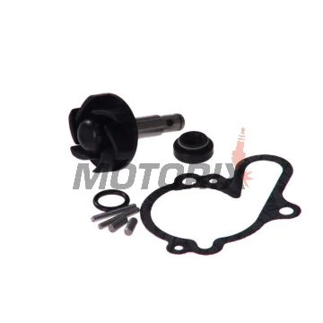 Opravná sada vodní pumpy -VICMA- AM6, APRILIA RS; BETA ARK; GAS GAS ENDURO, SUPERMOTO; RIEJU MRX, RR, RS, RS-1, RS-2, SMX; YAMAHA DT 50/125 1980-2006