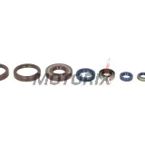 Kompletní sada gufer motoru -ATHENA- Husqvarna CR 250 1999-2004, WR 250 1999-2014, WR 300 2009-2014