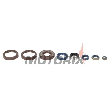Kompletní sada gufer motoru -ATHENA- Husqvarna CR 250 1999-2004, WR 250 1999-2014, WR 300 2009-2014