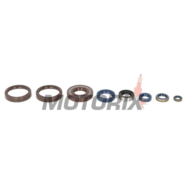 Kompletní sada gufer motoru -ATHENA- Husqvarna CR 250 1999-2004, WR 250 1999-2014, WR 300 2009-2014