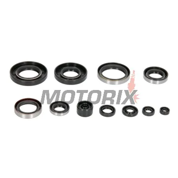 Sada gufer motoru -WINDEROSA- Kawasaki KX 250 1993-2003