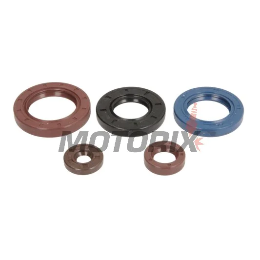 Sada gufer motoru -ATHENA- CAN-AM Outlander. 800 2009/2011/2013-2015, Outlander. 1000 2011-2018, Outlander. 976 2012-2018
