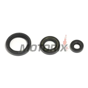 Sada gufer motoru -ATHENA- Husqvarna TC 250 2010-2014, TE 250 2010-2014, TE 310 2011-2014, TXC 250/310 2010-2014