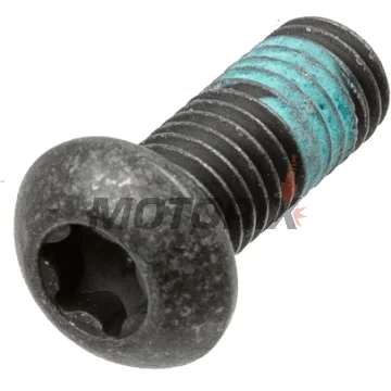 Šrouby brzdového kotouče -TRW- MSS133-5, M8x1.25mm, 24.5mm, 5ks
