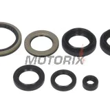 Sada gufer motoru -WINDEROSA- Suzuki LT-A 400 2002-2015