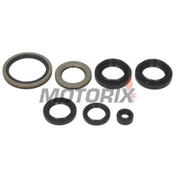 Sada gufer motoru -WINDEROSA- Suzuki LT-A 400 2002-2015
