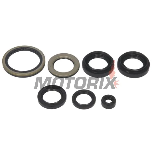 Sada gufer motoru -WINDEROSA- Suzuki LT-A 400 2002-2015