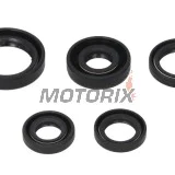 Sada gufer motoru -WINDEROSA- Honda TRX 300 1988-2000