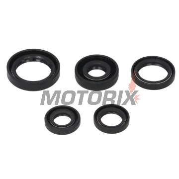 Sada gufer motoru -WINDEROSA- Honda TRX 300 1988-2000