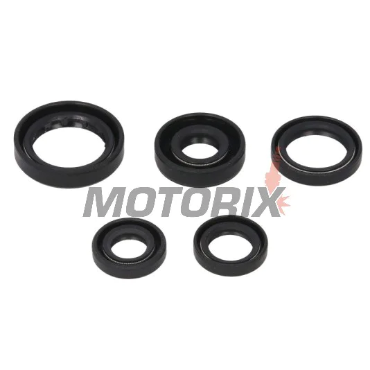 Sada gufer motoru -WINDEROSA- Honda TRX 300 1988-2000