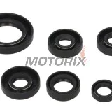 Sada gufer motoru -WINDEROSA- Can-Am DS 650 2000-2007