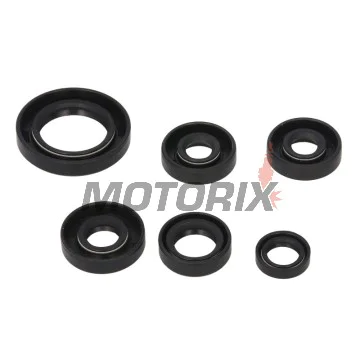 Sada gufer motoru -WINDEROSA- Can-Am DS 650 2000-2007
