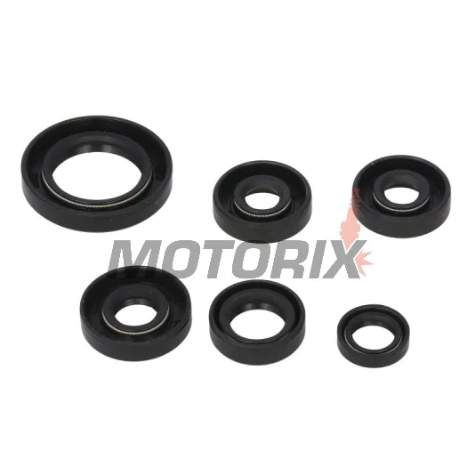 Sada gufer motoru -WINDEROSA- Can-Am DS 650 2000-2007