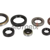 Sada gufer motoru -ATHENA- Husqvarna TC 250 2017-2022, TE 250 2014/2017-2018/2020-2022, TE 300 2017-2023, TX 300 2017-2023, KTM EXC 250/300 2017-2023, SX 300 1993, SX 250 2017-2023, XC 250/300 2017-2023