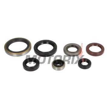 Sada gufer motoru -ATHENA- Husqvarna TC 250 2017-2022, TE 250 2014/2017-2018/2020-2022, TE 300 2017-2023, TX 300 2017-2023, KTM EXC 250/300 2017-2023, SX 300 1993, SX 250 2017-2023, XC 250/300 2017-2023