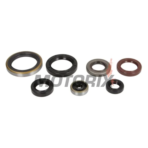 Sada gufer motoru -ATHENA- Husqvarna TC 250 2017-2022, TE 250 2014/2017-2018/2020-2022, TE 300 2017-2023, TX 300 2017-2023, KTM EXC 250/300 2017-2023, SX 300 1993, SX 250 2017-2023, XC 250/300 2017-2023