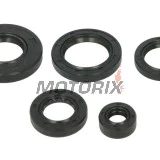 Sada gufer motoru -WINDEROSA- Arctic Cat Arctic Cat 650 2005-2011, Arctic Cat TRV 650 2007-2008