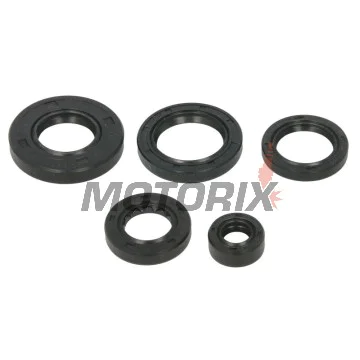 Sada gufer motoru -WINDEROSA- Arctic Cat Arctic Cat 650 2005-2011, Arctic Cat TRV 650 2007-2008