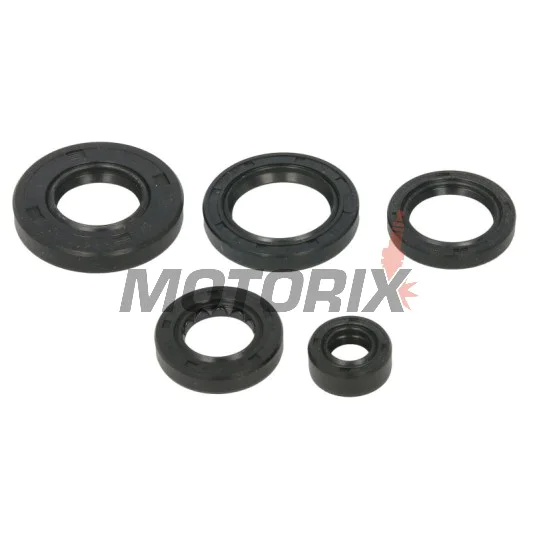 Sada gufer motoru -WINDEROSA- Arctic Cat Arctic Cat 650 2005-2011, Arctic Cat TRV 650 2007-2008