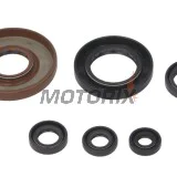 Sada gufer motoru -WINDEROSA- Honda TRX 450 1998-2004