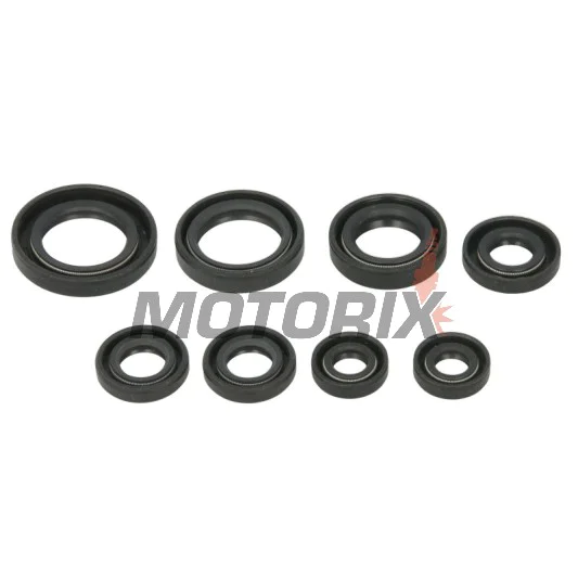 Sada gufer motoru -WINDEROSA- Honda TRX 200 1990-1997