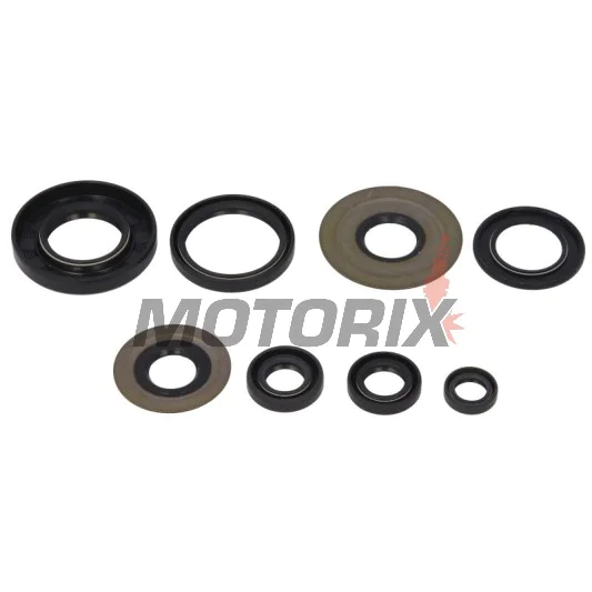 Sada gufer motoru -WINDEROSA- Yamaha YFM 350 1987-2013